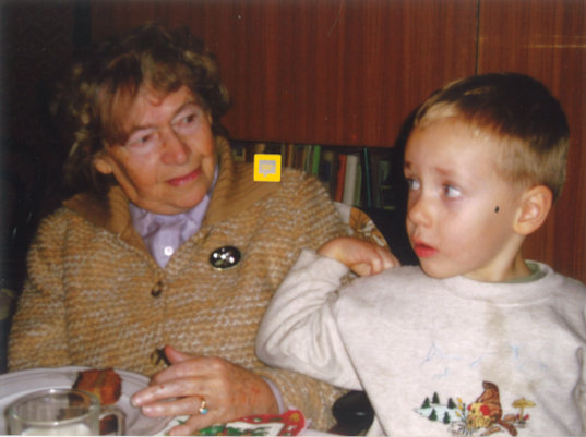Aleksandra Oledzka-Frybesowa